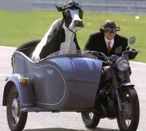 moto caw