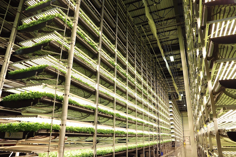 AeroFarms