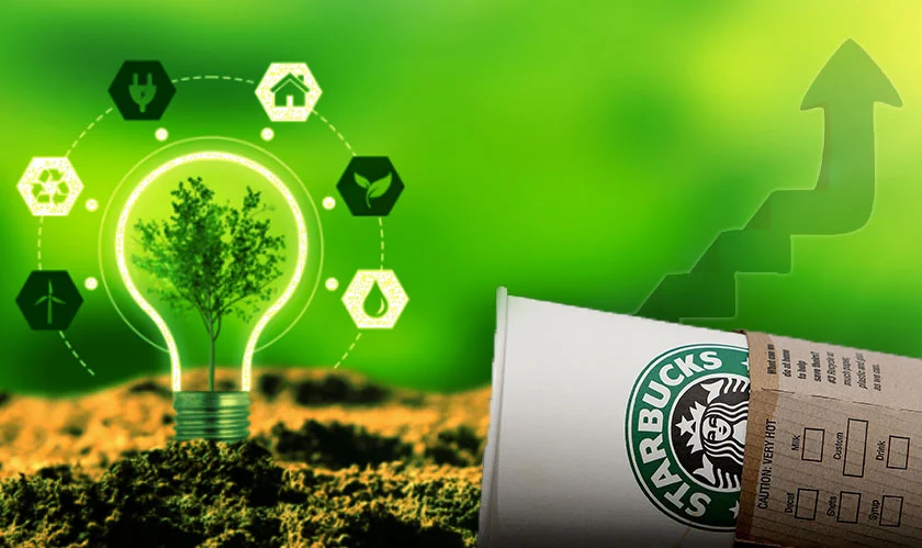 Sustainability и экологичность