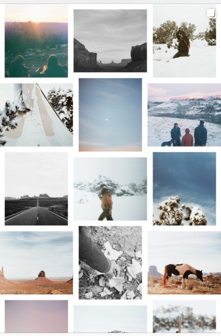 feed
