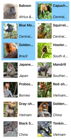CollectionView 