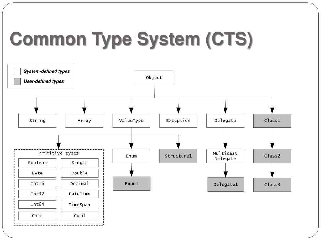 Common Type System (CTS)