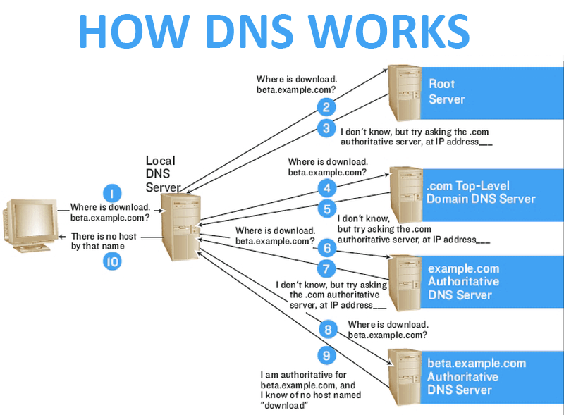 dns