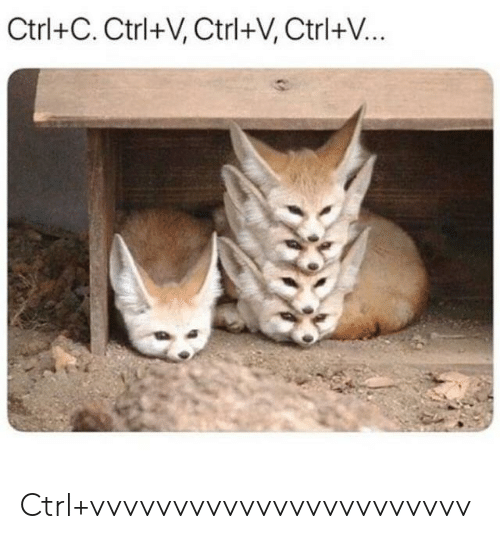 copy paste