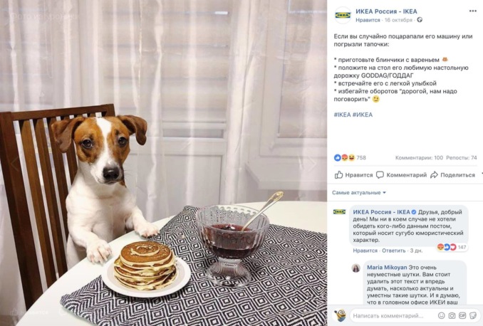 ikea dog