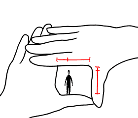пропорция